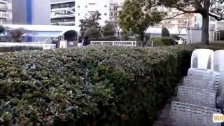 292MY-702 若宮遥 2